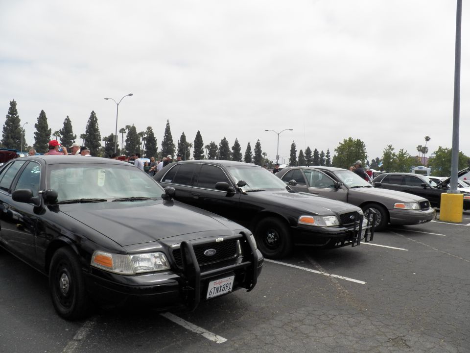 Black Ford Crown Victoria Police Interceptors parked in row with gray sedan at car show