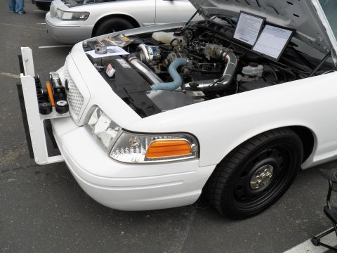 2003 Ford Crown Victoria - Open hood of white Crown Vic showing chrome intake tubes, blue hose and detailed engine bay