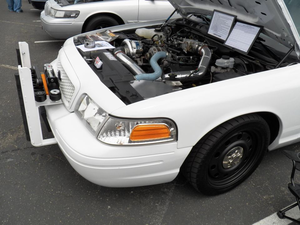 White Ford Crown Victoria engine bay with chrome intake and supercharger piping