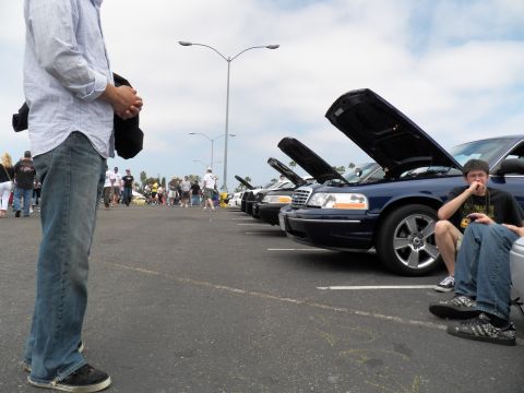 2003 Ford Crown Victoria - Man in jeans stands at left as a line of dark Panther sedans sits hoods-up in a parking lot car show; another man rests on a fender.