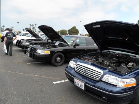 2003 Ford Crown Victoria - Dark blue Ford sedan with BLUE VIC plate at right leads a row of black Crown Victoria Interceptors, hoods open, attendees walking past.
