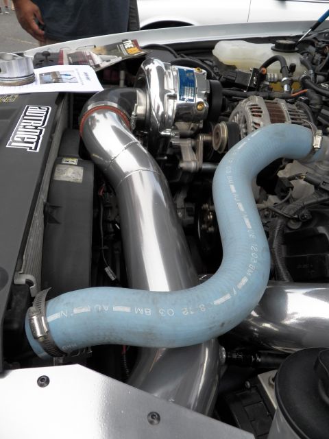 2003 Ford Crown Victoria - Close view of a belt-driven supercharger feeding polished intake tubing, blue coolant hose marked with hose specs running across the bay.