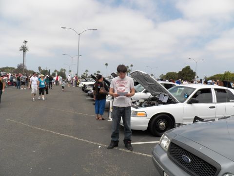 2003 Ford Crown Victoria - Man in a Ford tee reads a printed sheet between rows of white Panther sedans with hoods open at a sunny lot show; silver Ford front right.