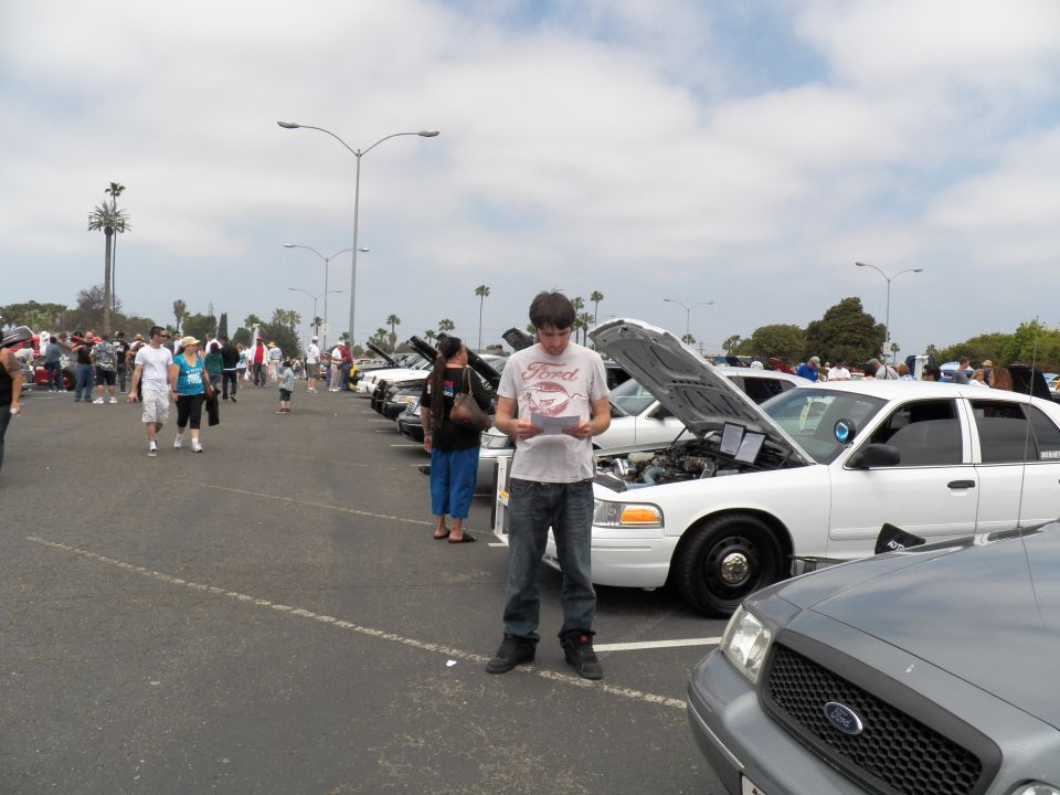 Young man reading a spec sheet beside white Crown Victoria sedans