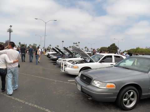 2003 Ford Crown Victoria - Curving line of Panther-platform Ford sedans, hoods raised, gray Crown Victoria in foreground, crowd walking the lot under overcast sky.
