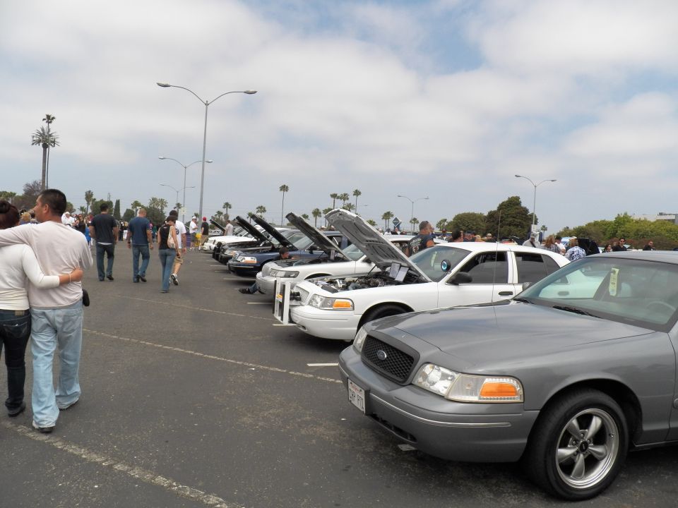 Long row of white and silver Ford Crown Victoria sedans with open hoods