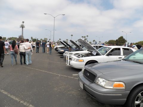 2003 Ford Crown Victoria - Attendees walk past a long line of white and silver Ford sedans with hoods open, gray Crown Victoria front at right, palms on the horizon.