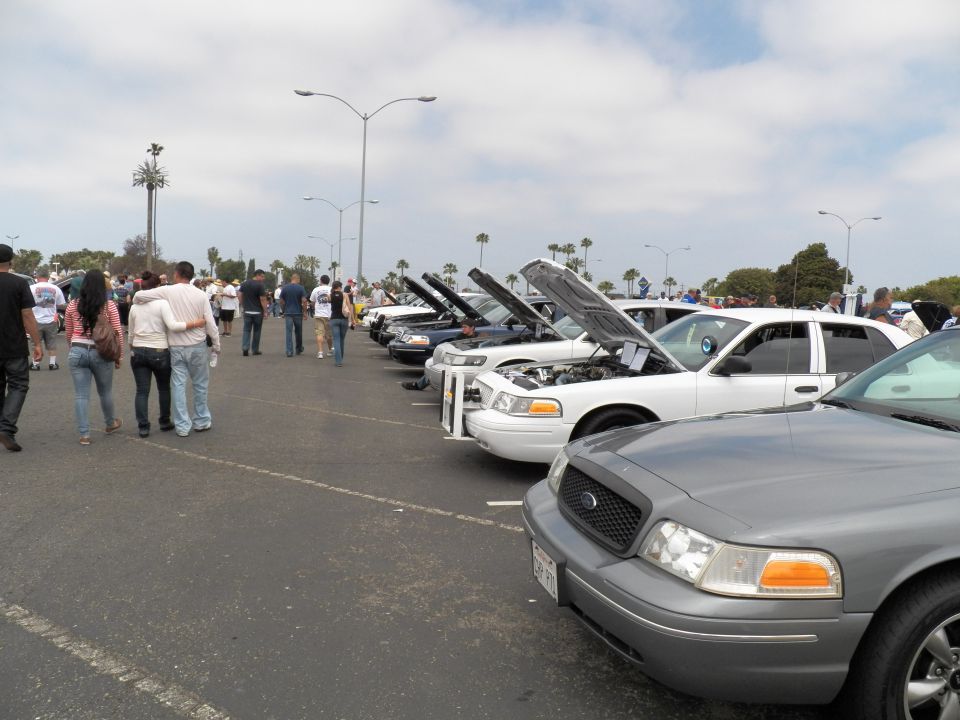 Row of Ford Crown Victoria sedans hoods up at outdoor car meet