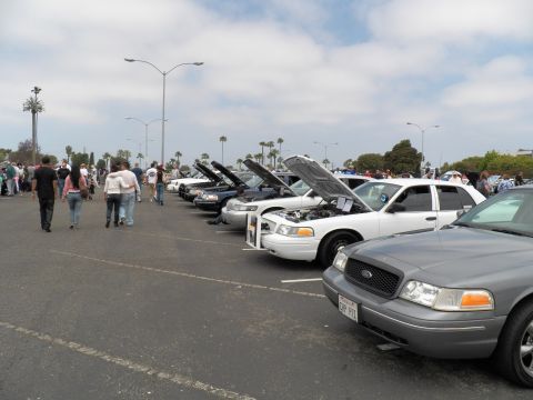 2003 Ford Crown Victoria - Spectators stroll a parking-lot meet lined with white and dark Panther sedans, hoods up; gray Crown Victoria front leads the row at right.