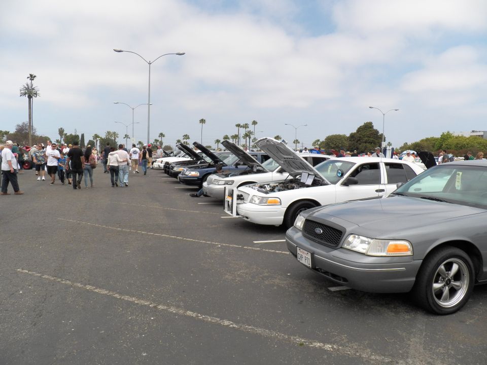Row of silver and white Ford Crown Victoria sedans at a car show
