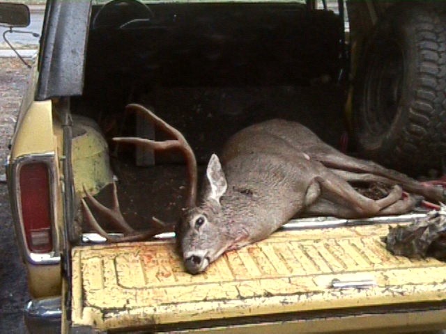 Just another bragging pic.