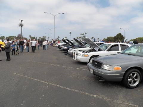 2003 Ford Crown Victoria - Gray Crown Victoria front nearest camera, white and dark Panther sedans receding in the row, crowd at left under a cloudy sky.