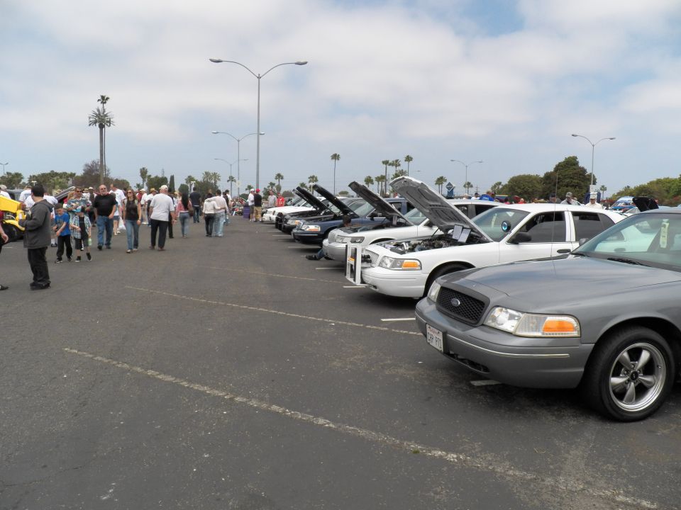 Silver Ford Crown Victoria leading a row of sedans with open hoods