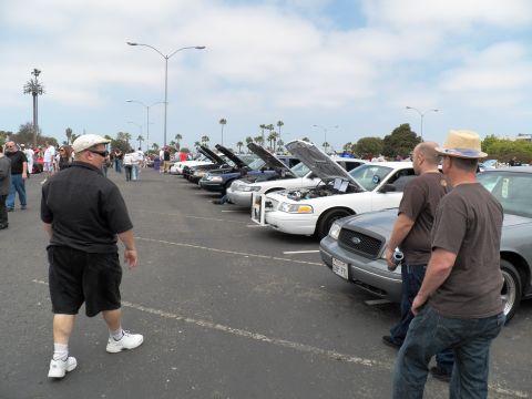 2003 Ford Crown Victoria - Men in sunglasses and a straw hat watch a line of white and dark Panther sedans with hoods open at a parking-lot car show.