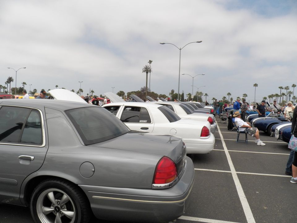 Rear view of silver Ford Crown Victoria and white sedans parked in a row