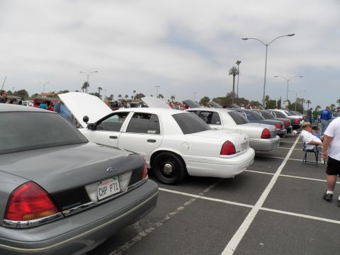 2003 Ford Crown Victoria - White Ford sedan with steel wheels and CHP PT1 plate, gray Crown Victoria at left, more Panther sedans lining the lot to the right.