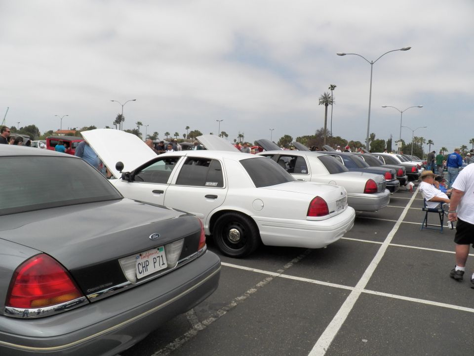 Rear three-quarter of white Crown Victoria with CHP PT1 plate in a row
