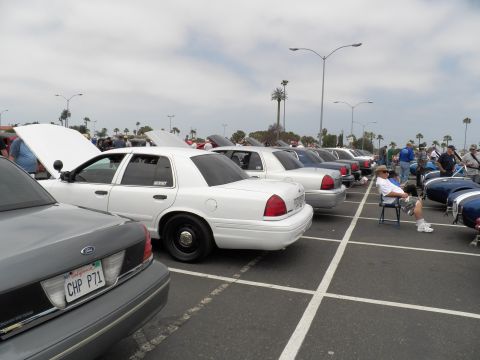 2003 Ford Crown Victoria - White Panther sedan on black steel wheels, CHP P71 plate on the gray Ford at left, row of sedans and a Cobra replica at right.