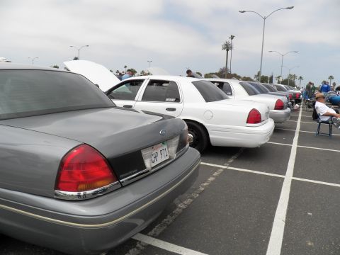 2003 Ford Crown Victoria - Gray Crown Victoria trunk with CHP P7L plate in foreground, white Panther sedans angled beside it at a parking-lot car meet.