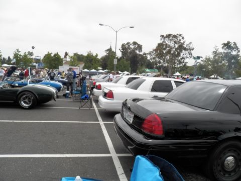 2003 Ford Crown Victoria - Crown Victoria sedans parked in a row with a blue Shelby Cobra replica at the lot