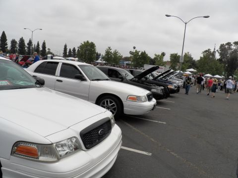 2003 Ford Crown Victoria - Line of Crown Victoria sedans, several hoods open, with crowd and tents behind