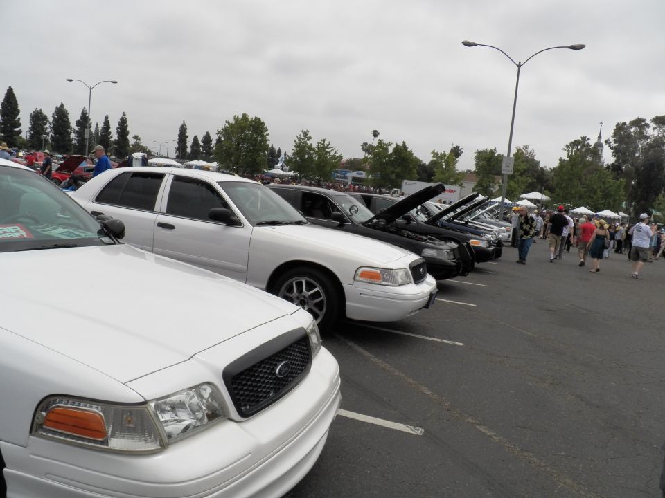 Row of white and black Ford Crown Victoria sedans with mesh grille parked at car show