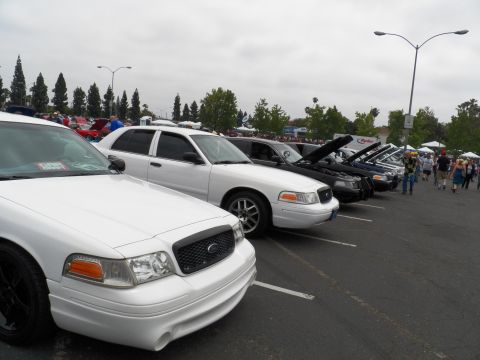 2003 Ford Crown Victoria - White Crown Victoria front foreground in a row of show sedans under overcast sky