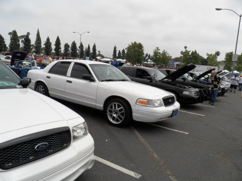 2003 Ford Crown Victoria - Row of Crown Victoria sedans with white cars in front and crowd beyond the lot
