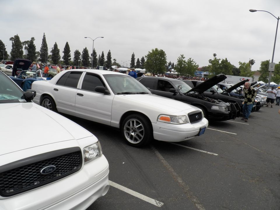 White and black Ford Crown Victoria sedans lined up at outdoor car show, hoods open