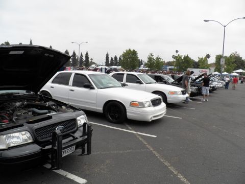 2003 Ford Crown Victoria - White and black Crown Victoria sedans lined up, lead car has brush guard and hood up