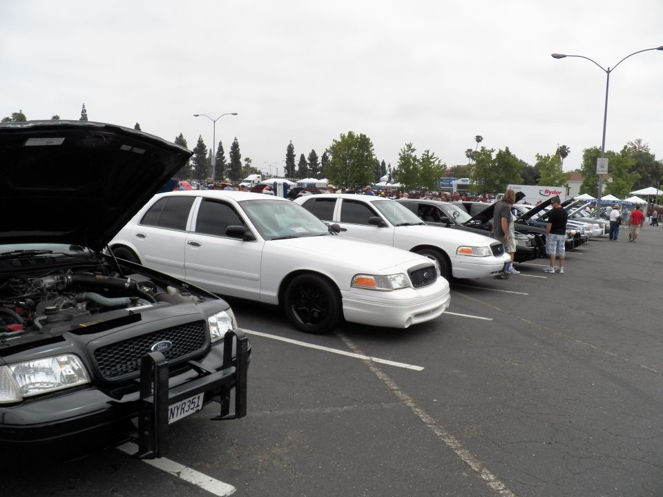 Crown Victoria sedans in a row, black car with push bar and open hood in foreground
