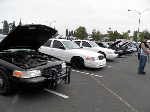 2012-04-22 - Fabulous Fords Forever Panther Pics