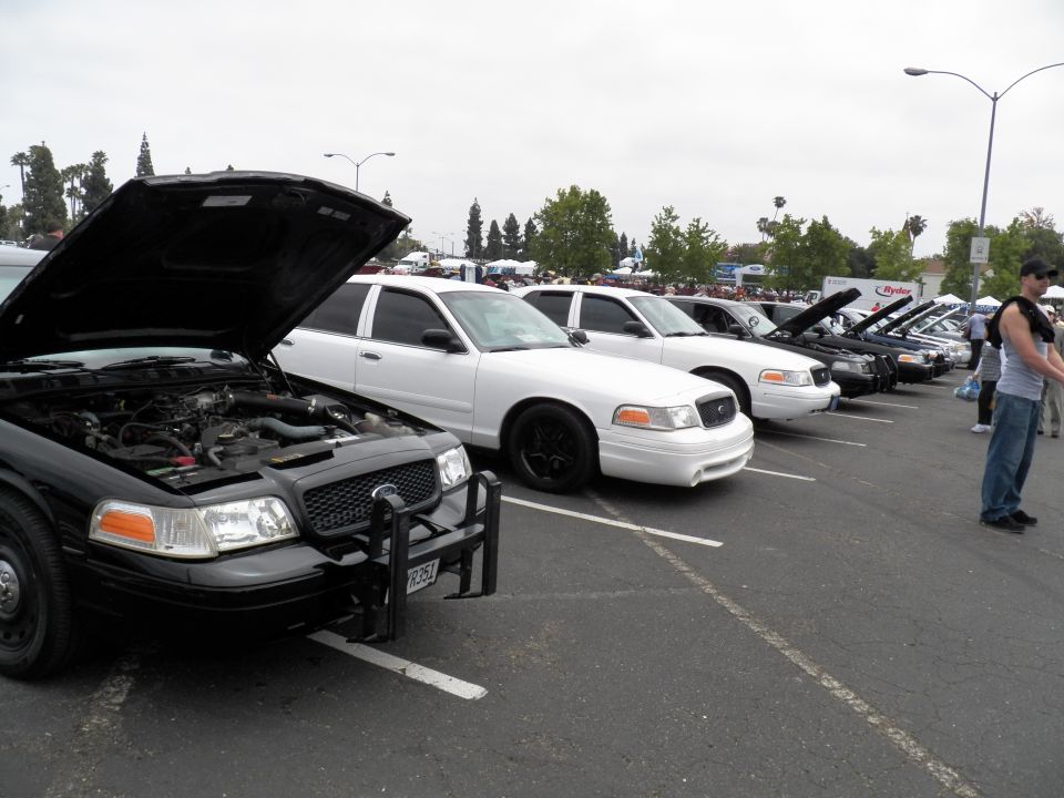 Black Ford Crown Victoria with push bar and open hood beside white sedans at car meet
