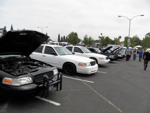 2003 Ford Crown Victoria - Crown Victoria sedans parked diagonally with hoods up and crowd in the background