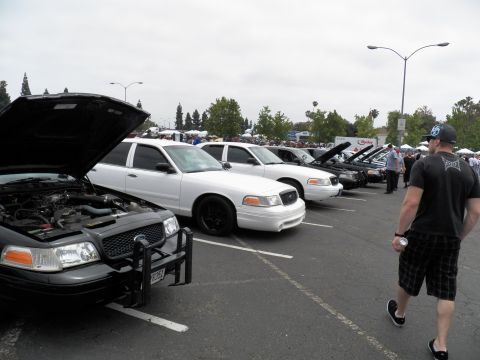 2003 Ford Crown Victoria - Row of white and black Crown Victoria sedans, hoods open, spectator strolling the lot