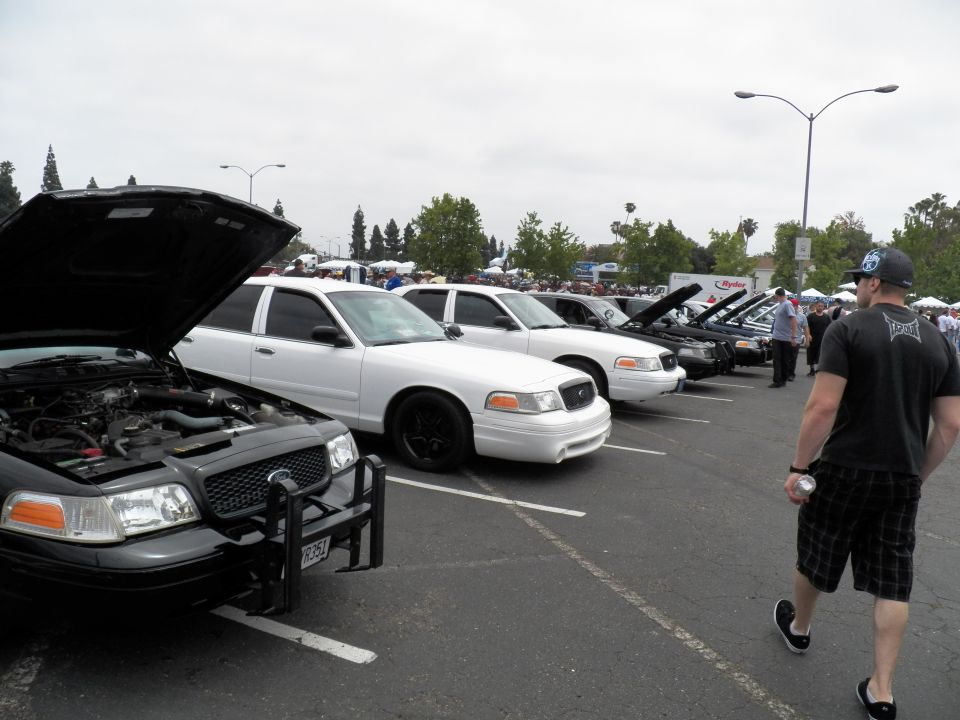 Crown Victoria sedans lined up at car show with man in black cap walking past in foreground