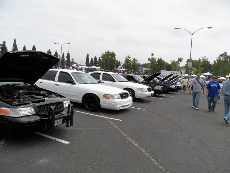 White and black Ford Crown Victoria sedans in a row with open hoods at outdoor car meet