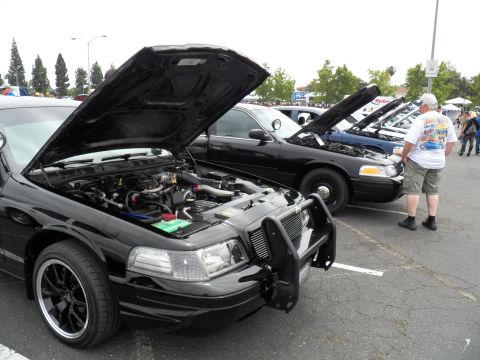 2003 Ford Crown Victoria - Engine bay exposed on a black Ford sedan parked among show cars in a sunny lot