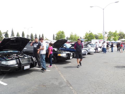 2003 Ford Crown Victoria - Attendees browse a line of open-hood sedans on sunny parking-lot asphalt