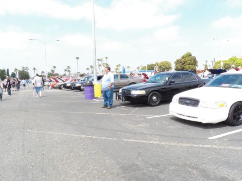 2003 Ford Crown Victoria - Black and white Ford sedans lined up with crowd and palm trees beyond