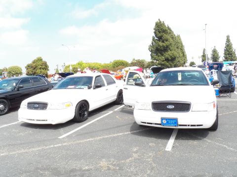2003 Ford Crown Victoria - Pair of white Ford sedans facing forward at a car show with trees behind