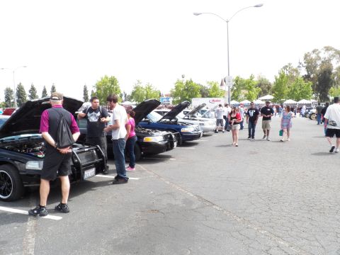 2003 Ford Crown Victoria - Spectators inspect a line of sedans with raised hoods on a clear day