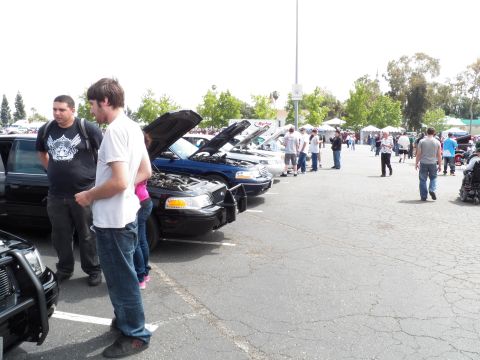 2003 Ford Crown Victoria - Young attendees stand near lined-up open-hood sedans at an outdoor meet