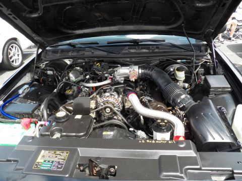 2003 Ford Crown Victoria - Detailed under-hood view of a sedan engine with hoses and reservoirs