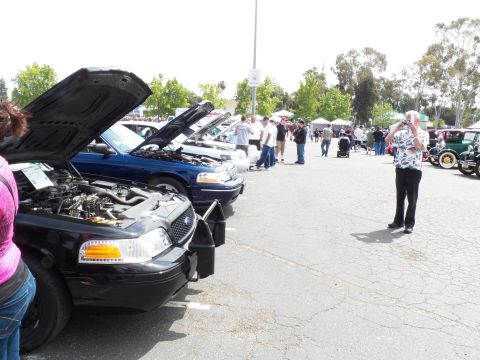 2003 Ford Crown Victoria - Open-hood sedans displayed in a row with attendees on sunny asphalt