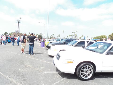 2003 Ford Crown Victoria - Line of white Ford sedans at a car show under a hazy bright sky