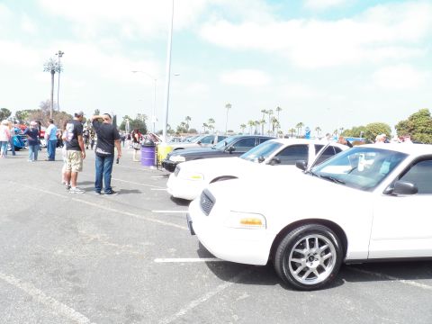 2003 Ford Crown Victoria - Several white Ford sedans lined up as attendees walk the lot