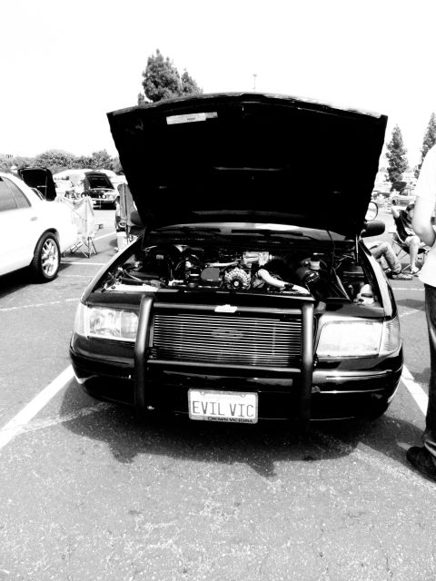 2003 Ford Crown Victoria - Monochrome front view of an open-hood Ford sedan with grille guard