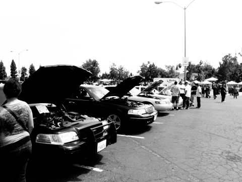 2003 Ford Crown Victoria - Monochrome car show row of open-hood sedans under a streetlight