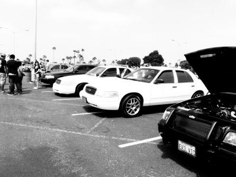 2003 Ford Crown Victoria - Monochrome lineup of Ford sedans with EVIL VIC plate on the foreground car